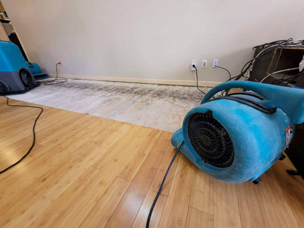 Professional Burst Pipe Water Damage technician working in Slaton, TX